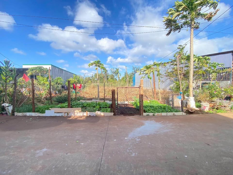 Đất nền Cư Suê, Cư M'gar 174m² giá 870 triệu – Sổ đỏ sẵn sàng!