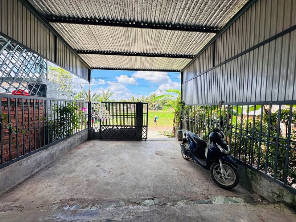 Đất nền Buôn Ma Thuột 115m² - View ruộng, giá tốt hiếm có!