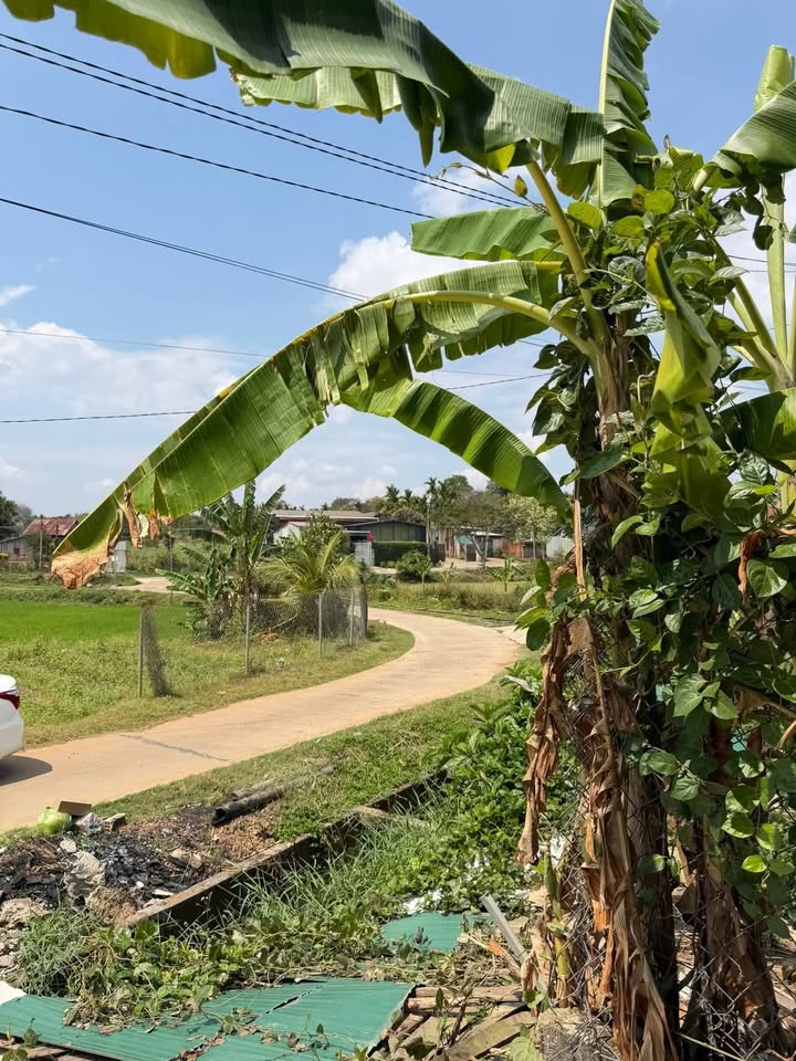 Đất nền Nguyễn Trường Tộ 115m² giá 1.59 tỷ - Sổ đỏ chính chủ!