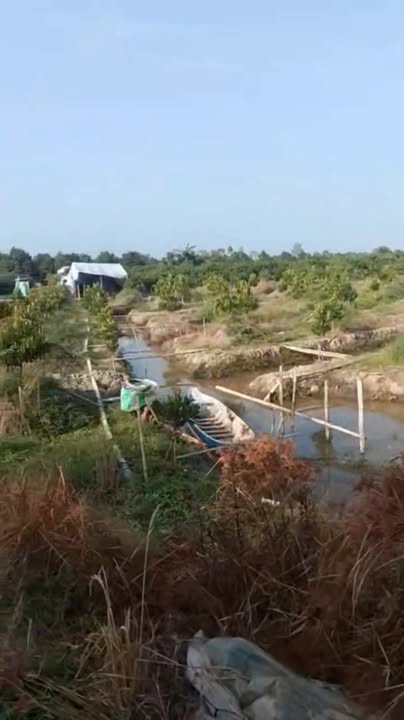 Đất Vườn An Khánh Đồng Tháp 12.600m² - Đầu Tư Nghỉ Dưỡng Lý Tưởng!