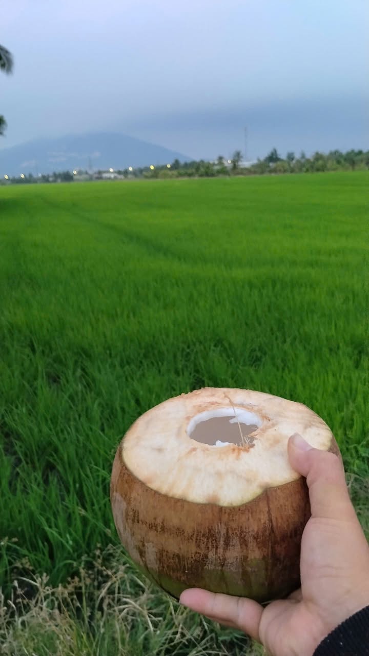 Đất nền Xuân Lộc 1200m² - Sổ đỏ chính chủ, tiềm năng kinh doanh