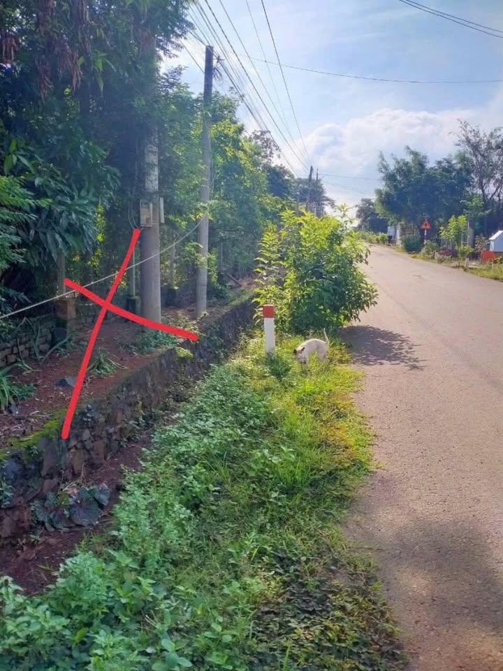 Đất nền Hưng Hòa Bến Cát 516m² - Sổ đỏ chính chủ, tiềm năng tăng giá!