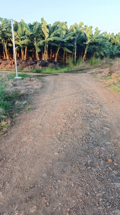 Đất Sông Trầu Trảng Bom 6300m² - Tiềm năng tăng giá vượt trội!