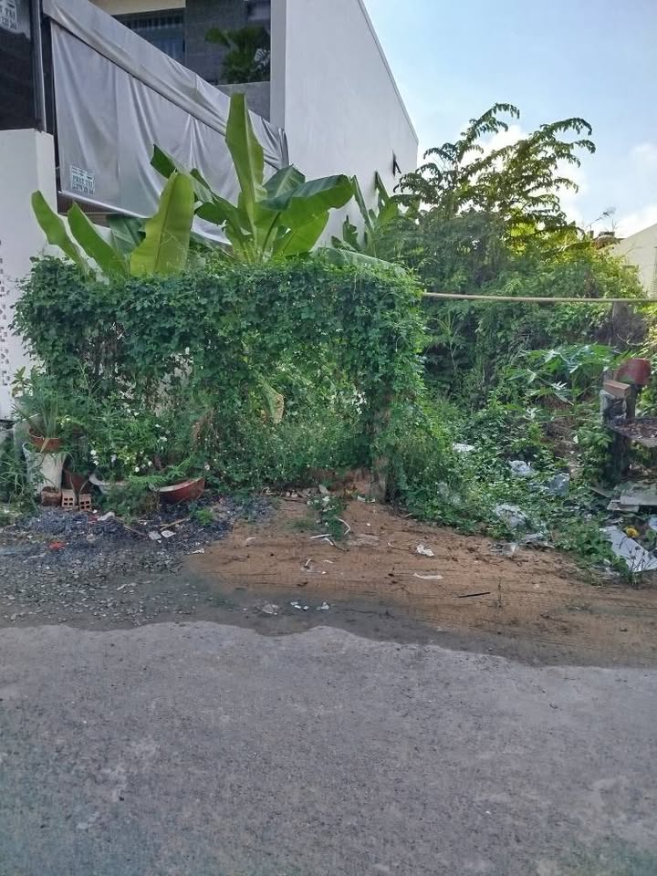 Đất nền Trà Vinh 112.5m² giá 8xx triệu - Đường to ô tô, sổ đỏ sẵn!