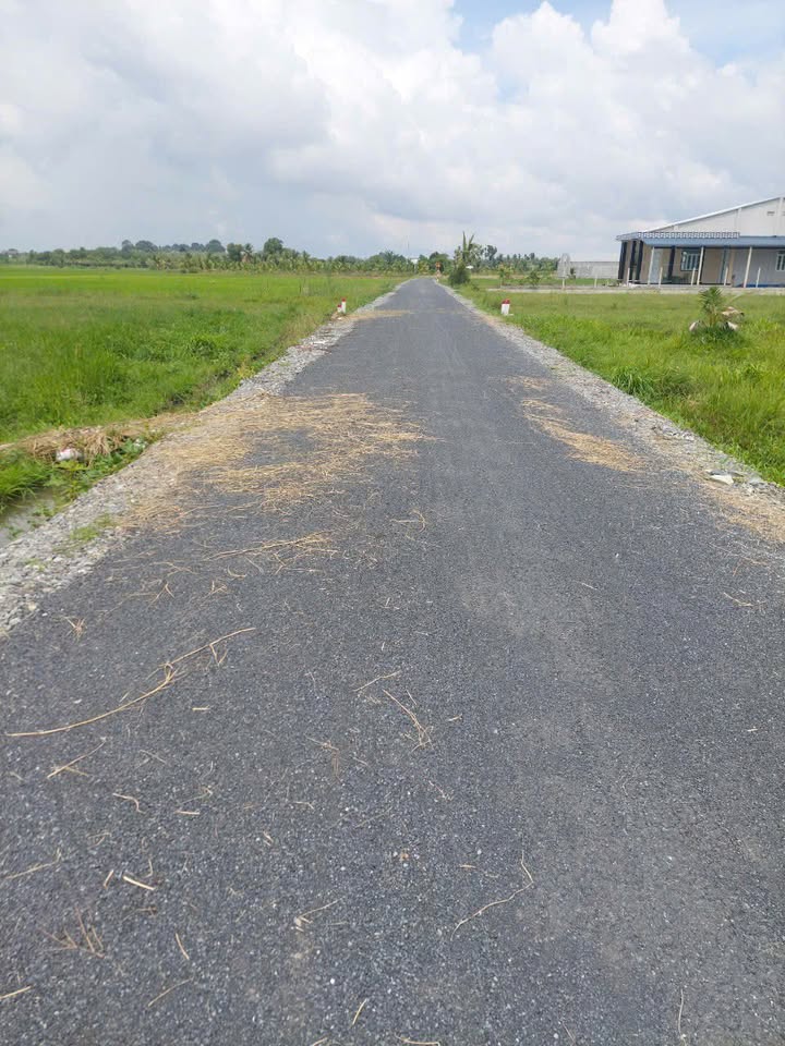 Đất nền Hiệp Thạnh Gò Dầu 1700m² 1 tỷ - Sổ đỏ chính chủ