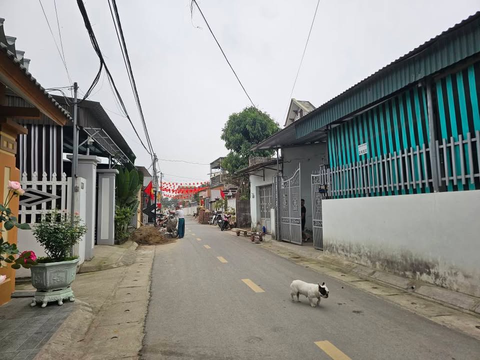 Đất nền Phố Thành Minh, Thanh Hóa 100m² - Đường to ô tô