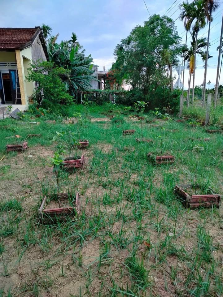 Đất nền Lê Quý Đôn 153m² 2.499 tỷ - Sổ đỏ chính chủ