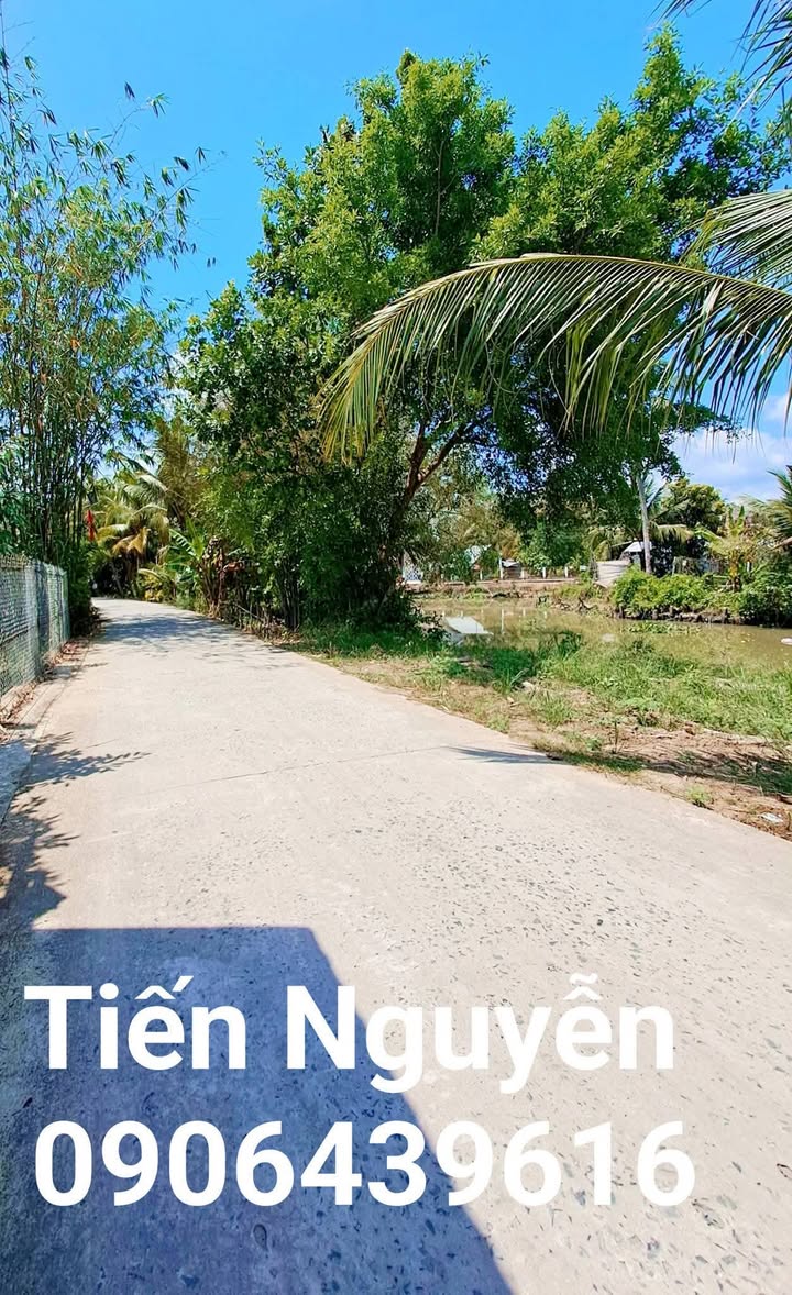 Bán Đất Vườn 350m² Thới Lai - Sầu Riêng Trĩu Quả, Lộ 4m Ô Tô Tới Đất