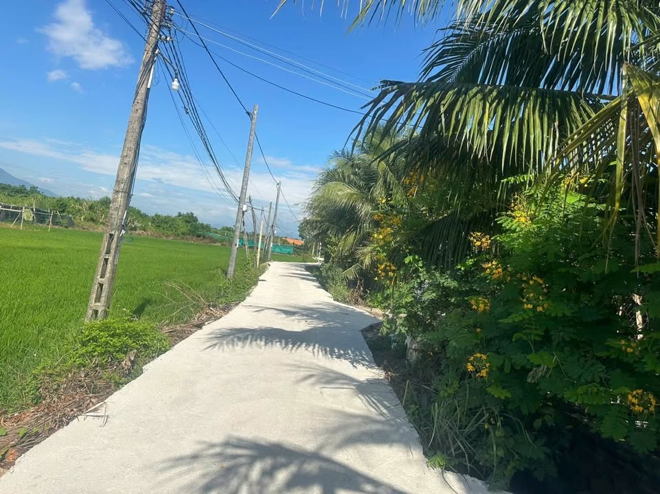 Đất nền Ninh Đa 80m² giá chỉ từ 300 triệu - Sổ đỏ chính chủ!