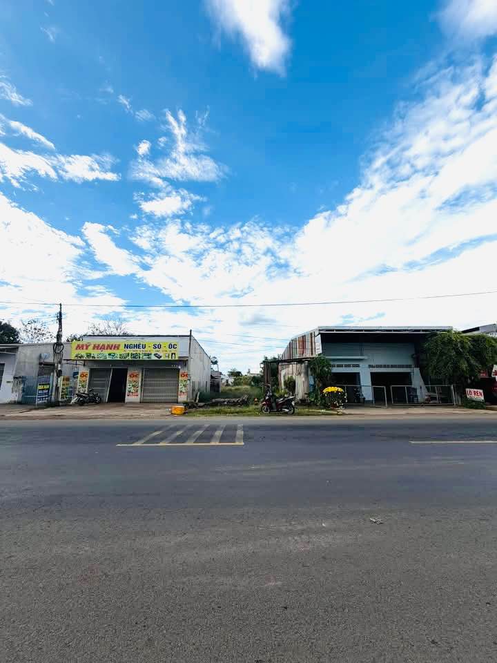 Bán Đất Mặt Tiền QL14 Buôn Ma Thuột 551m² - Đất Thổ Cư 100% Sổ Sẵn!