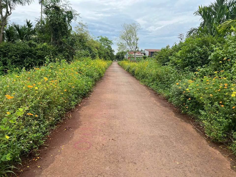 Đất nền Hòa Xuân BMT 115m² chỉ 600 triệu - Tiềm năng tăng giá vượt trội!