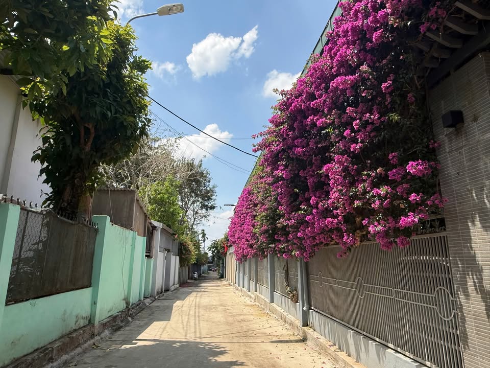 Đất nền Hẻm 45 Lê Thị Riêng, BMT 91m² - Tiềm năng tăng giá cao!