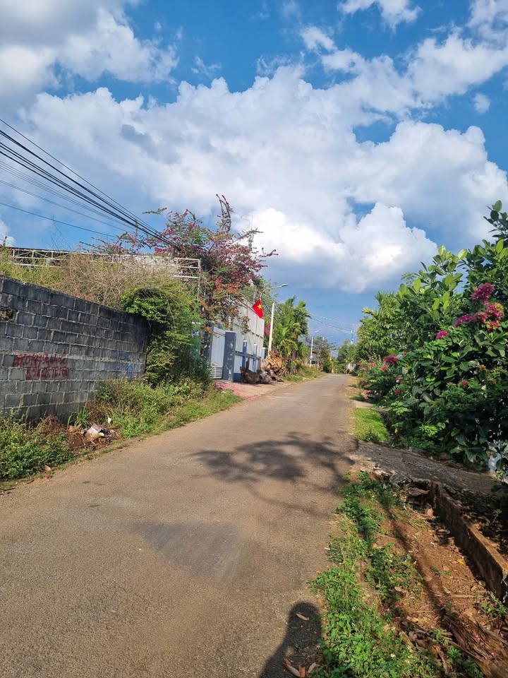 Đất nền Tân Hòa 99m² - Sổ đỏ chính chủ, xây dựng tự do!