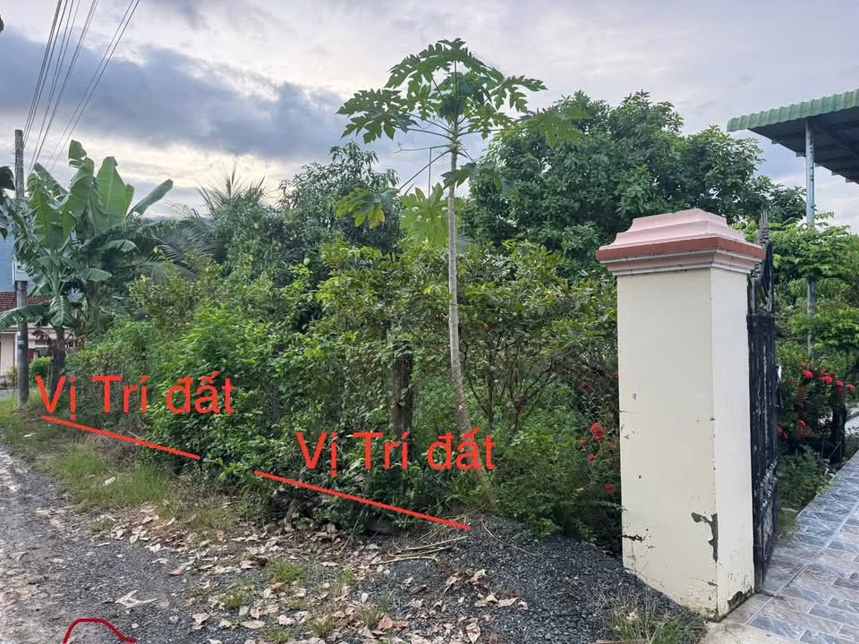 Bán Đất Gò Sắn, Ninh Hòa 103m² - Giá Chỉ 250 Triệu, Sổ Đỏ Sẵn Sàng