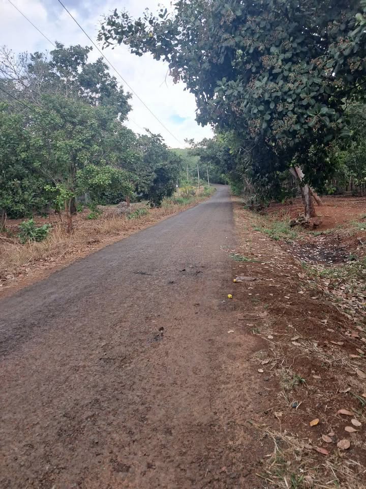 Đất nền Phú Trung 360m² - Sổ hồng, tiềm năng tăng giá!