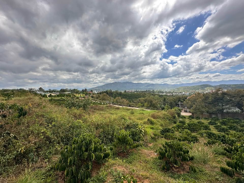 Đất 1000m² Trần Phú, Bảo Lộc - Sổ Thổ Cư, View Đẹp, Giá 2.15 Tỷ