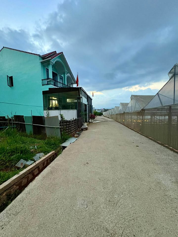 Đất nền Phường 7 Đà Lạt 125m² - Tiềm năng tăng giá vượt trội!