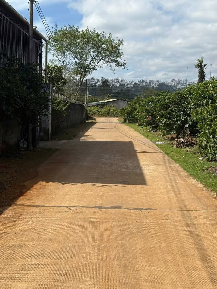 Đất nền Pleiku 350m² - Sổ đỏ chính chủ, ô tô vào tận nơi!