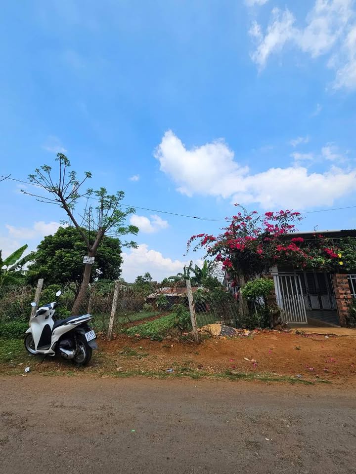 Đất thổ cư mặt tiền Dã Tượng, Pleiku 210m² - Giá 1.2 tỷ, sát chợ chiều!