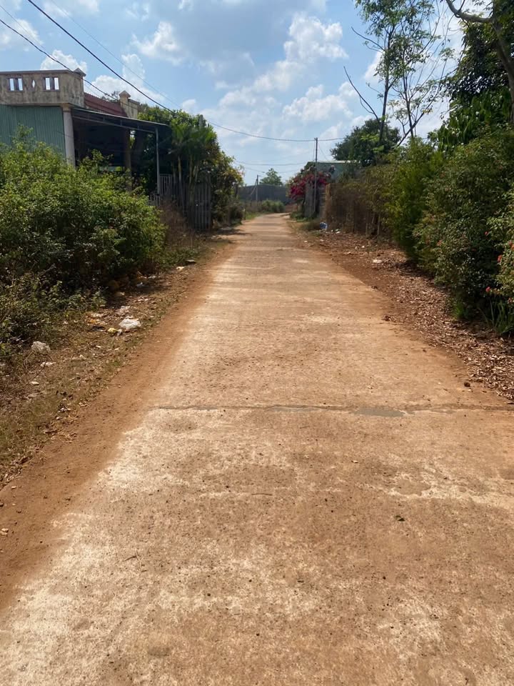 Đất Nền Hẻm Nguyễn Chí Thanh Pleiku 480m² - Giá Rẻ Đầu Tư 1.2 Tỷ