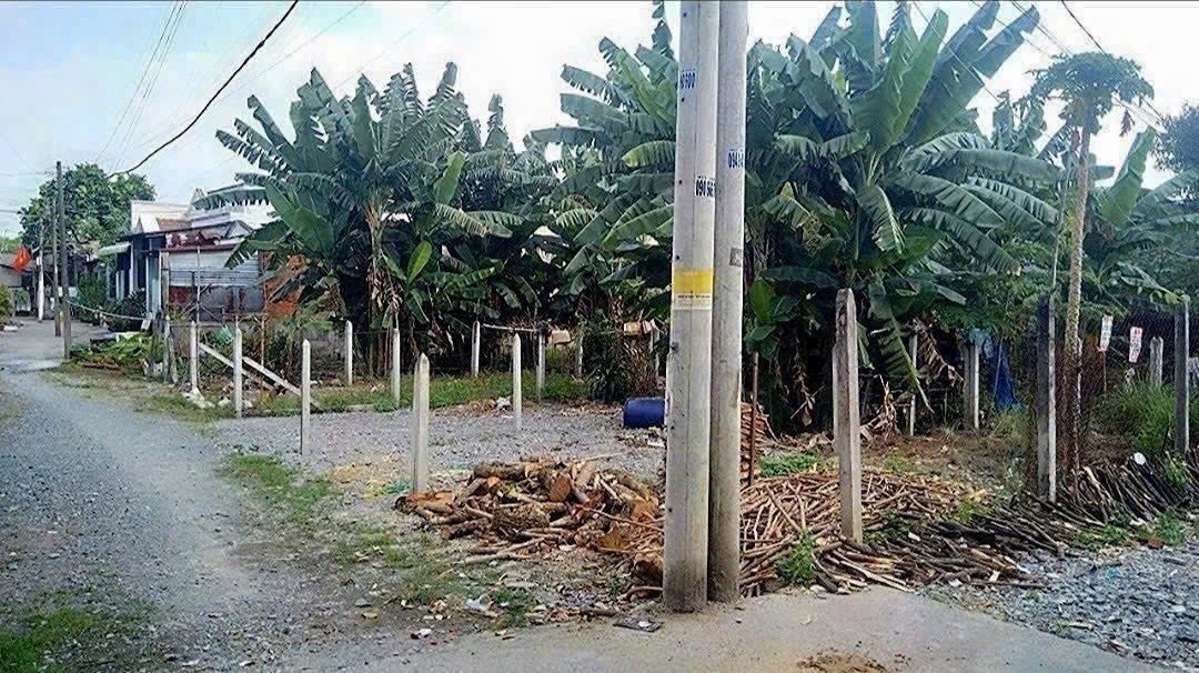 Bán Đất Củ Chi 100m² - Sổ Đỏ Thổ Cư, Giá 1.65 Tỷ