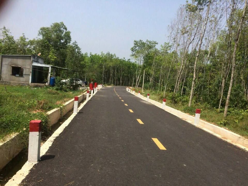 Đất Vàng 2300m² Ngay Ngã Ba Phú Hòa, Bình Dương - Sổ Hồng Sẵn Sàng Giao Dịch