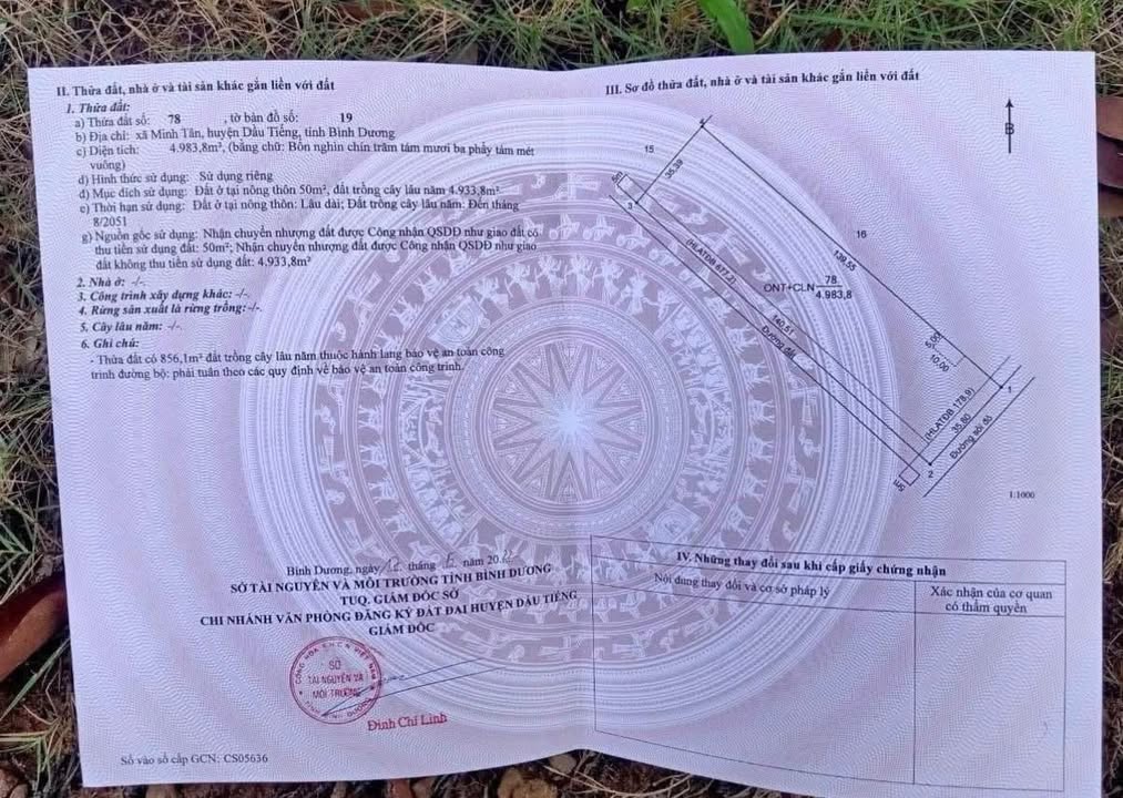 Đất nền Minh Tân, Dầu Tiếng 5040m² giá 6.5 tỷ - Sổ đỏ chính chủ