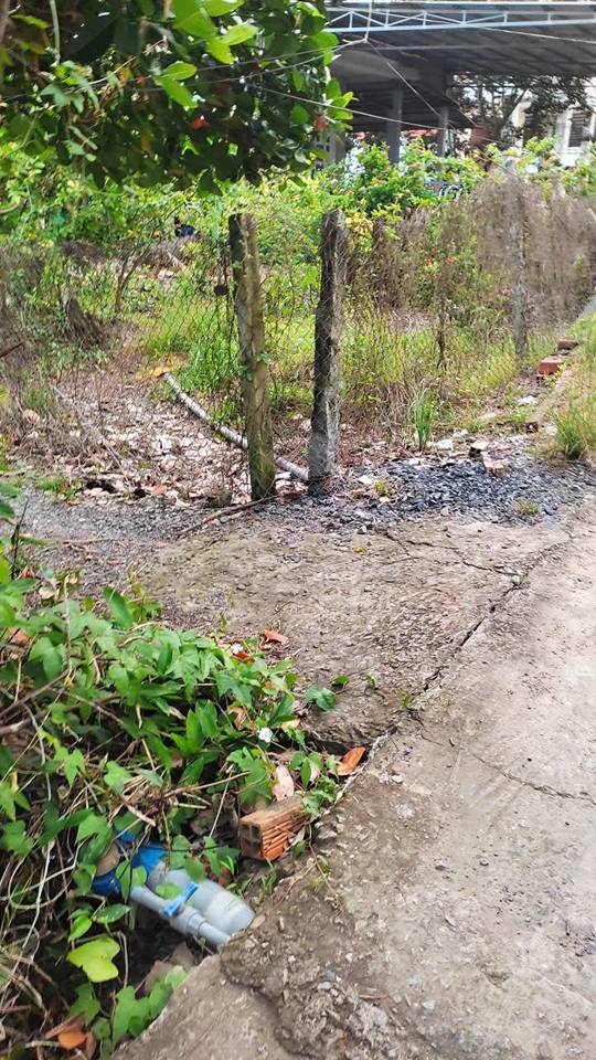 Đất Vườn Ô Môn 4959m² Giá 3 Tỷ - Đầu Tư Dài Hạn!