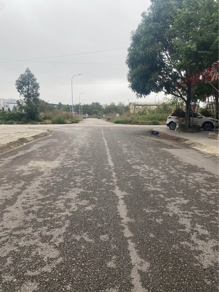 Bán Đất Kinh Doanh Nguyễn Công Trứ, TP. Thanh Hóa - 88m², Mặt Tiền 5.5m - Giá 5.x Tỷ