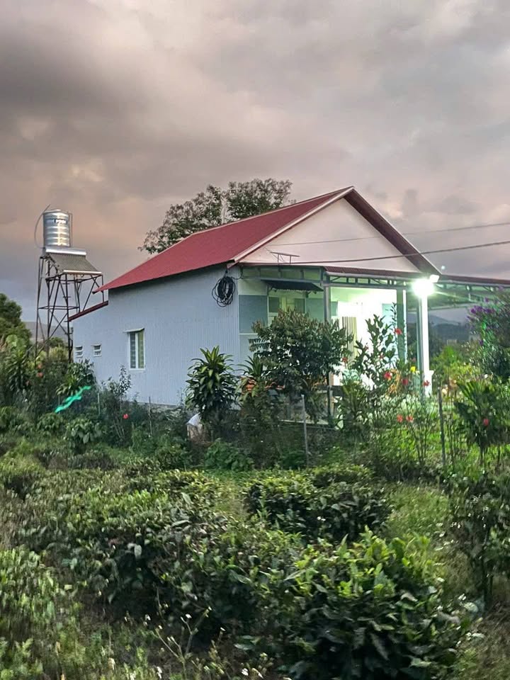 Bán Gấp Nhà Vườn Nghỉ Dưỡng P3 Blaosere - 681m² Sổ Hồng Sẵn Sàng