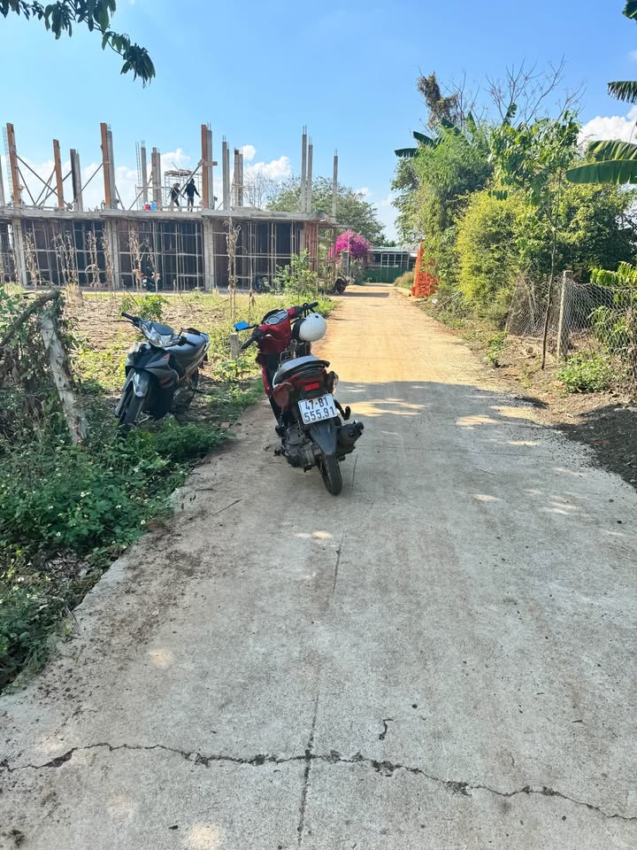 Đất Vàng Phường Thành Nhất, Buôn Ma Thuột - 260m² Sổ Đỏ Thổ Cư