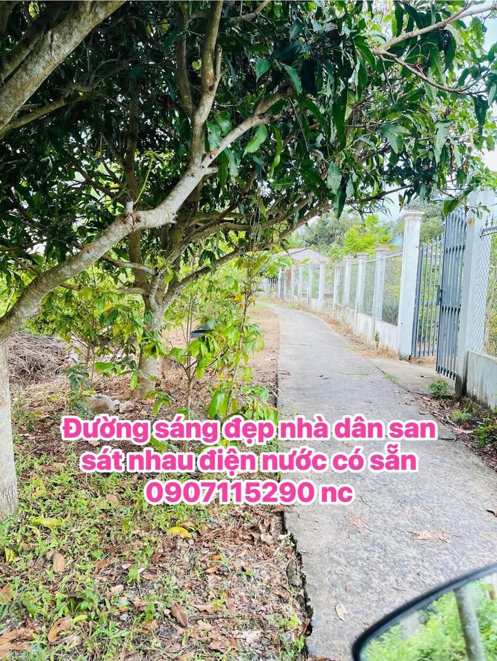 Bán Nền 124.7m² Mỹ Thuận, Vĩnh Long - Giá Tốt 190 Triệu