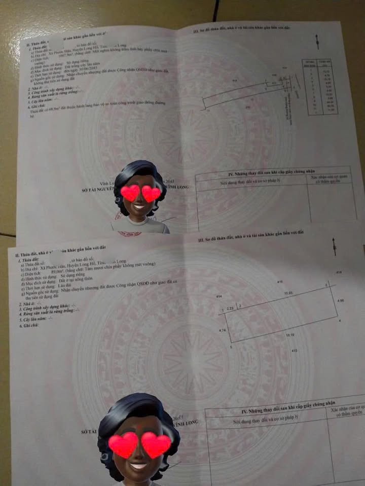 Đất Vĩnh Long 1100m² - Sổ Hồng Sẵn Sàng - Mặt Tiền Nhựa Oto