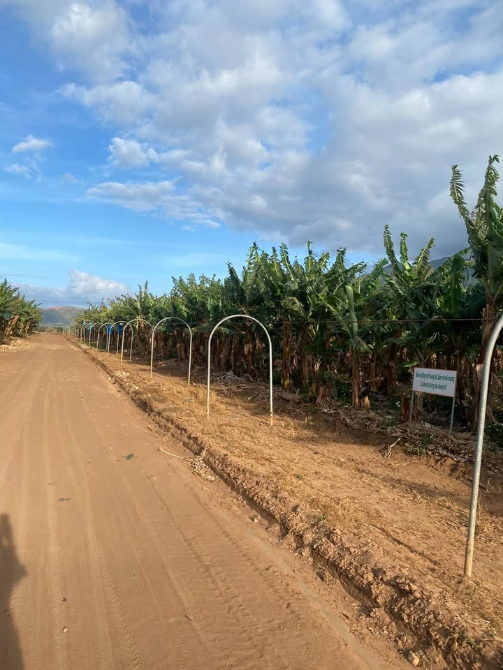 Nhà Riêng Võ Cường, Bắc Ninh 4PN - Ô tô vào tận nhà!