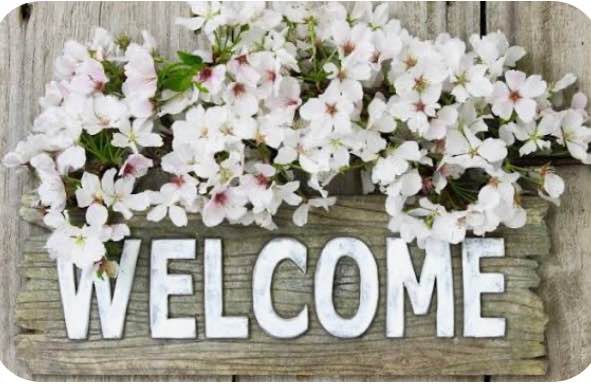 Nhà riêng Nguyễn Đình Chính, Phú Nhuận 120m² - Ô tô vào tận nhà!