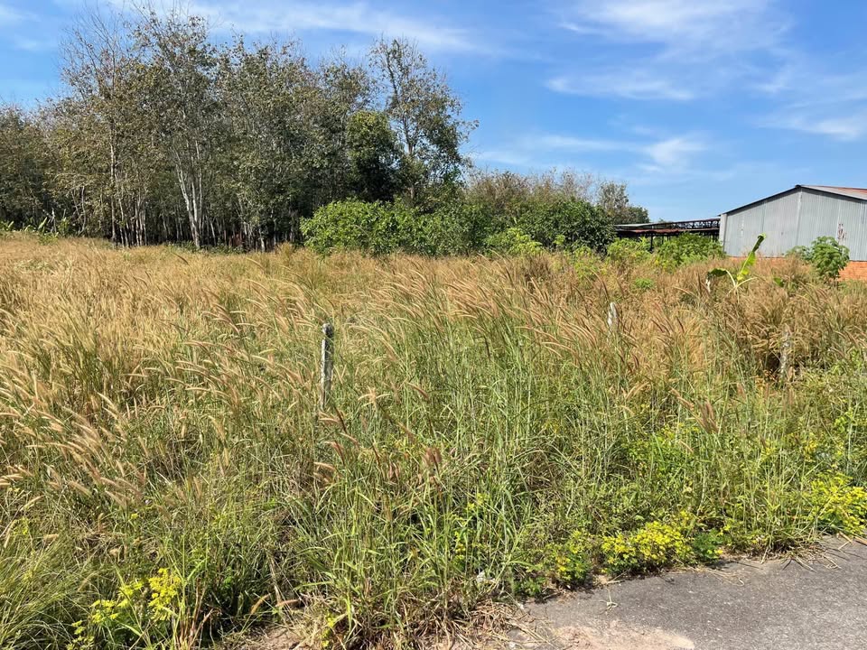 Đất Nền Long Hòa Cần Giờ 300m² - Sổ Đỏ Chính Chủ!