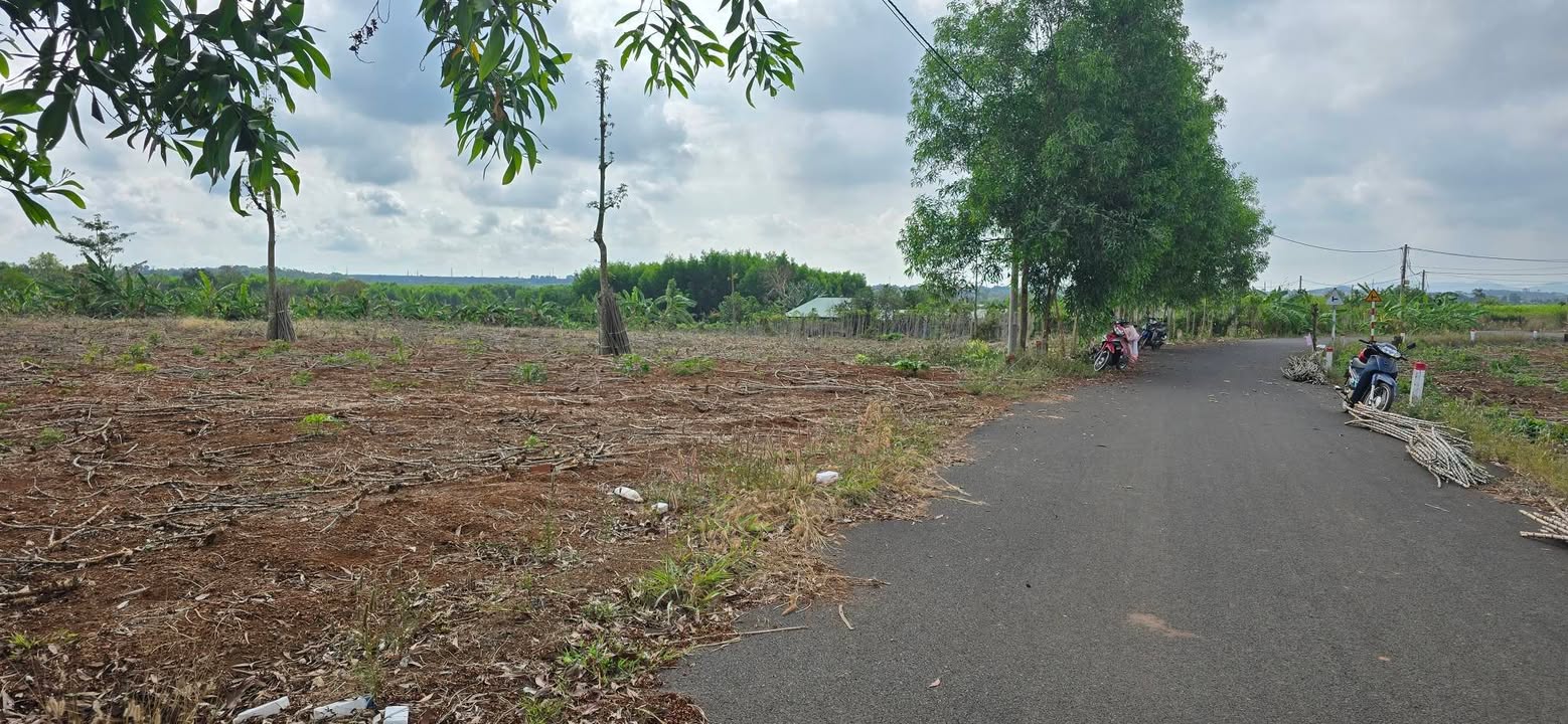 Đất Nền 1500m² Suối Nghệ, Châu Đức - Sổ Đỏ Thổ Cư, Giá 2.2 Tỷ