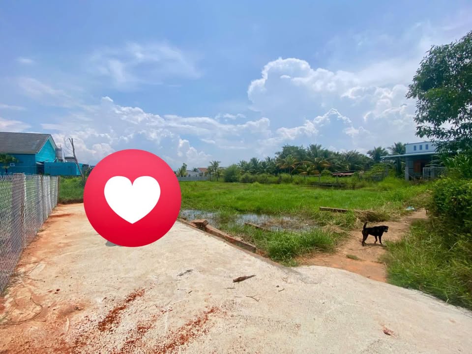 Bán Đất Hàm Thắng 540m² Sổ Đỏ Sẵn Sàng - Giá 4 Tỷ Ngay Ngã 4