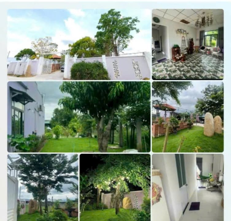 Đất Vườn 1000m² Phường Hàm Thắng, Phan Thiết - Nghỉ Dưỡng Lý Tưởng!