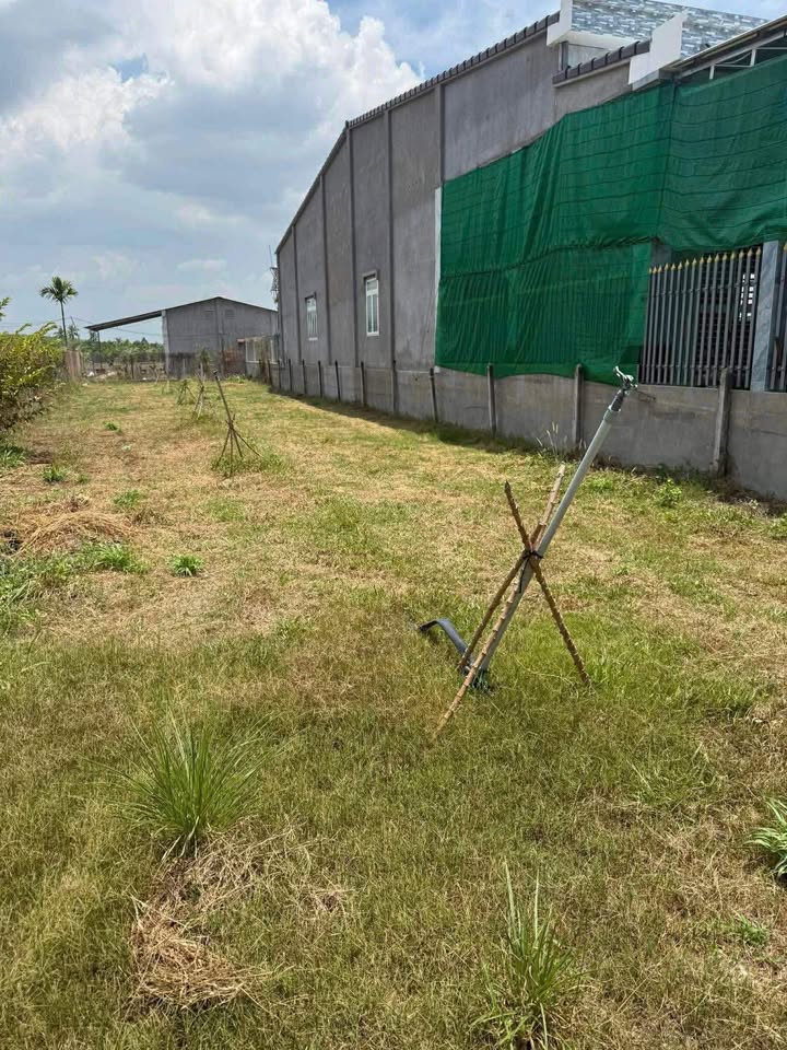 Đất nền Xã Phan, Dương Minh Châu 500m² - Sổ đỏ chính chủ!