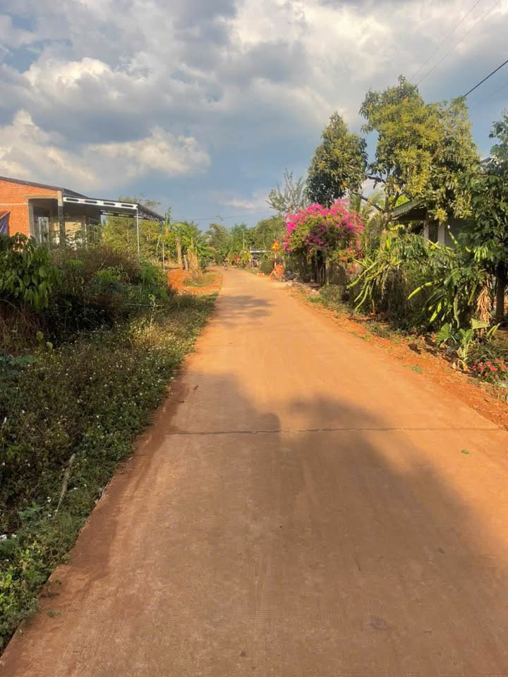 Đất nền Ea H'đinh Cư M'gar 520m² chỉ 390 triệu - Tiềm năng tăng giá!