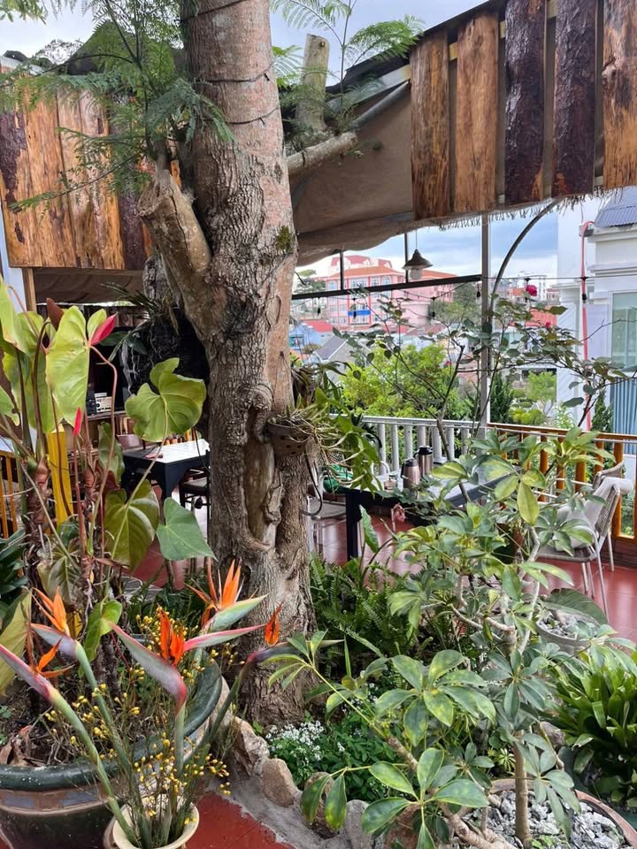 Cho thuê Mặt bằng Cà phê 200m² Đường Hùng Vương, Đà Lạt - Sẵn Sàng Kinh Doanh