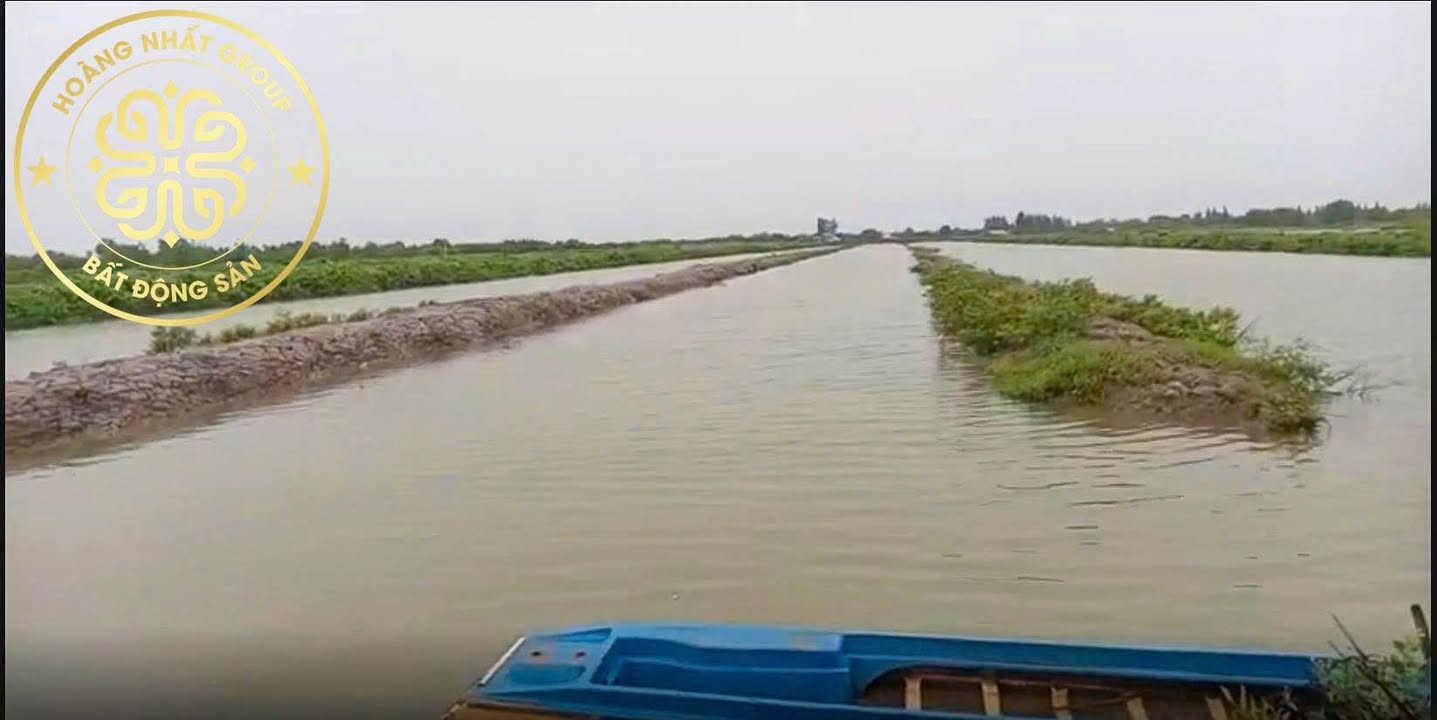 Đất NTTS Năm Căn 9961m² - Tiềm năng đầu tư dài hạn!