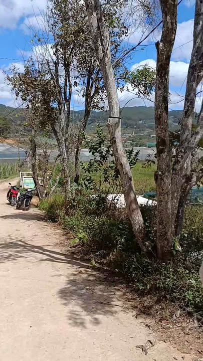 Đất nền Phường 10 Đà Lạt 3600m² - Sổ đỏ chính chủ, view tuyệt đỉnh