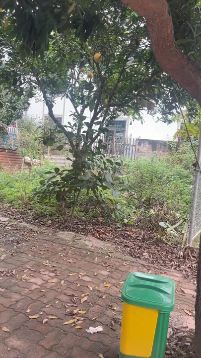 Đất nền Phường Hiến Nam 81.5m² - Mặt tiền 8m cực đẹp, vị trí vàng