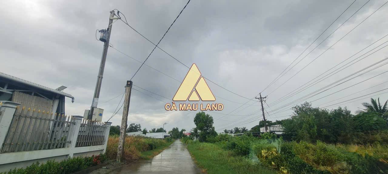 Đất Vườn Cà Mau 6372m² Mặt Tiền Lộ 4m - Giá 5.4 Tỷ