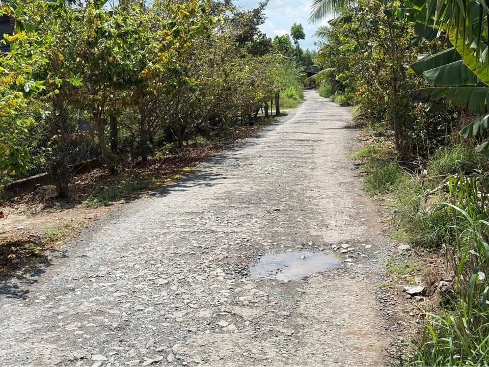 Đất vườn ven sông Mỹ Thuận 7750m² - Sinh thái xanh, đầu tư tiềm năng!