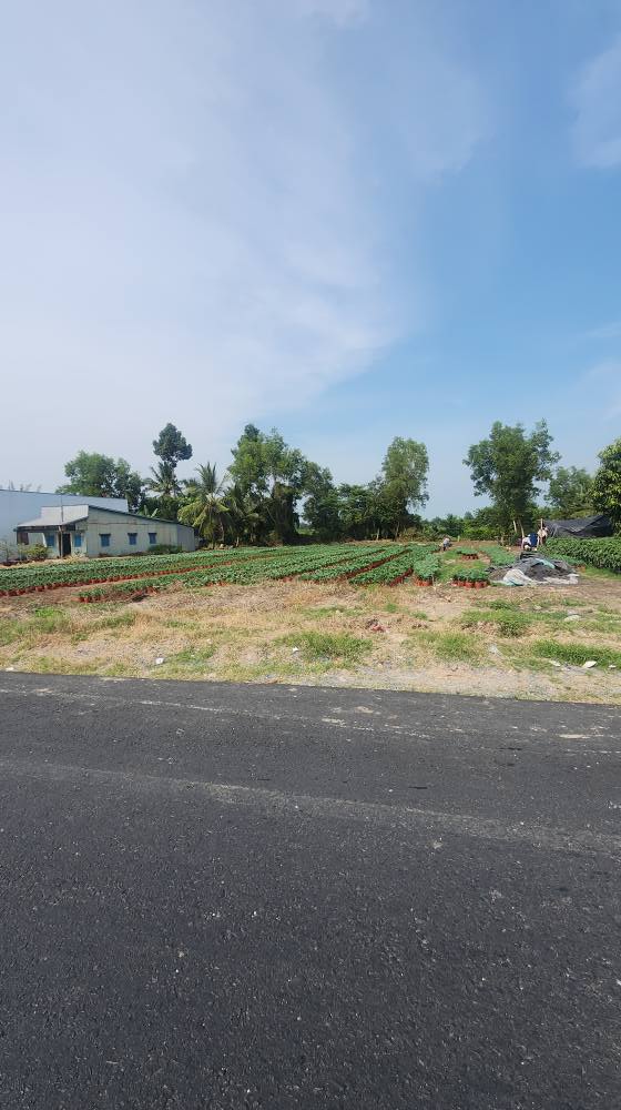 Đất nền Quốc Lộ 61 Châu Thành 2280m² - Sổ đỏ chính chủ