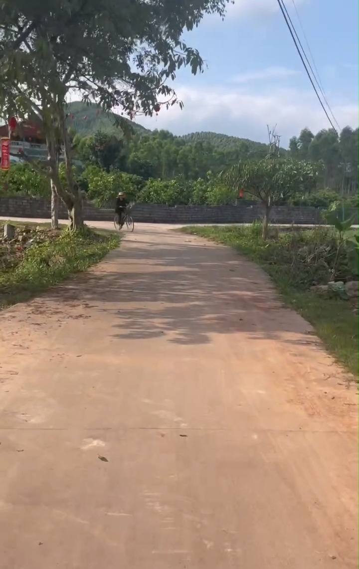 Đất nền Vô Tranh, Lục Nam 1600m² - Tiềm năng tăng giá vượt trội!