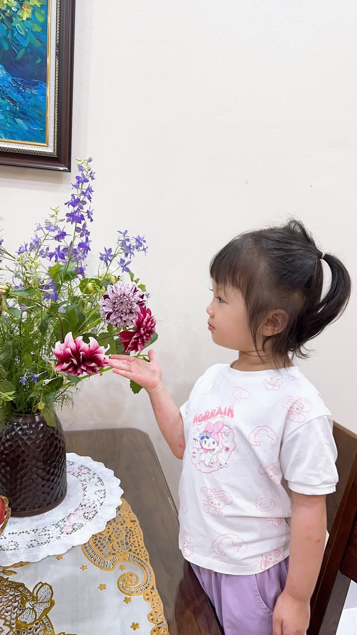 Bán đất TĐC Ao Phe Hoàng Diệu 81m² - Sổ đỏ chính chủ, giá 3.x tỷ